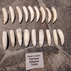 May include: A set of three ceramic mugs with a speckled, matte finish. The mugs are in shades of cream, light gray, and dark gray. Each mug has a simple, minimalist design and a rounded handle.