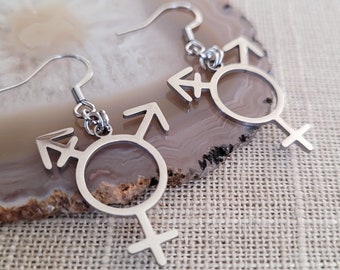 Transgender Earrings,  Non Binary Trans Awareness Drop Dangle Earrings