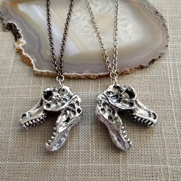 Dinosaur Skull Necklace, Your Choice of Gunmetal or Silver Rolo Chain, Mens Archaeologist Fossil Jewelry