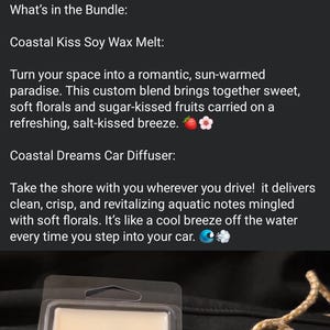 Coastal Kiss wax melt& Coastal Dreams car diffuser- home/car fragrance bundle