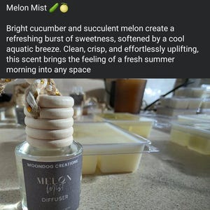 Melon Mist bündeln