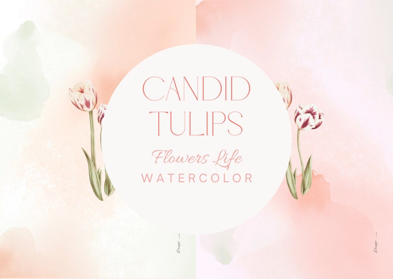 FLOWERS LIFE Candid Tulips Watercolour. Tulips clipart. Premade clipart. Watercolour clipart. Fine art clipart. Floral clipart zdjęcie 1