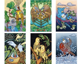 Bird Illustration Postcard Set – Unusual Art Prints