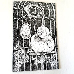 Art Zine by Poxodd. Bird Dreams #1 ~Plumage~ 20 pages of feather/bird themed illustrations.