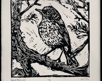 Wood Thrush - Linocut