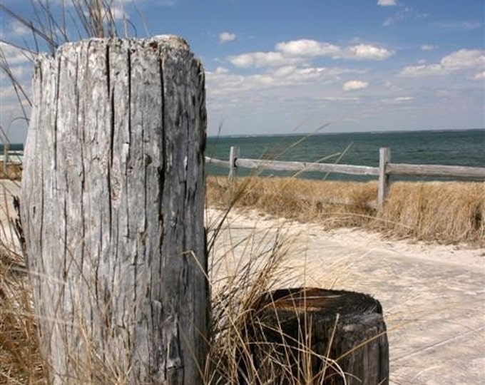 Dock Poles on Fire Island NY