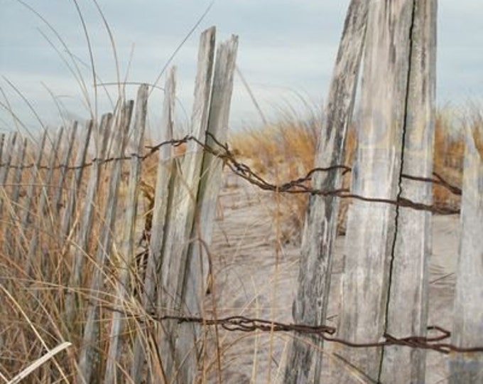 Snow Fence in Fall - Original Print by Scott M Rhodes