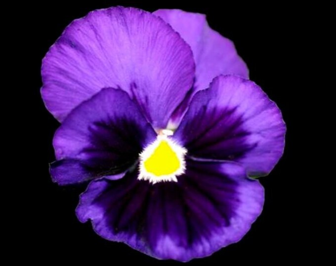 Nature Up Close