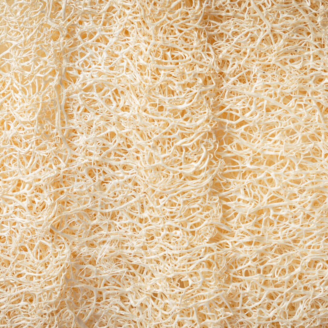 Peeling-Handschuh Aus ägyptischem Luffa – Schnelltrocknend & Hygienisch