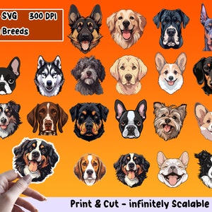 Paquete PNG de pegatinas de razas de perros, conjunto de pegatinas de razas de perros, PNG de razas de perros, SVG de razas de perros, diseño de pegatinas, paquete de imágenes prediseñadas de razas de perros, archivos cricut