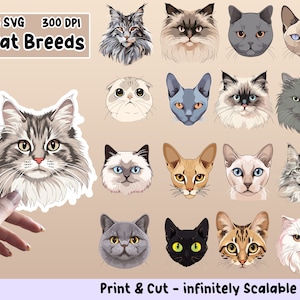 Pack de PNG d'autocollants de races de chat, ensemble d'autocollants de races de chat, races de chat PNG, SVG de races de chat, conception d'autocollant, ensemble de cliparts de races de chat, cricut png