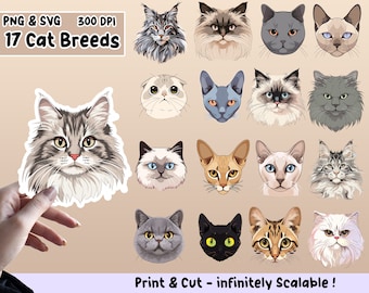Kattenrassen Sticker PNG Pack, Kattenrassen Sticker Set, Kattenrassen PNG, Kattenrassen SVG, Sticker Design, Kattenrassen Clipart Bundel, cricut png
