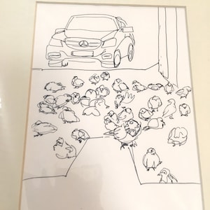 pigeons  (5x8 inch original drawing in A4 mount)