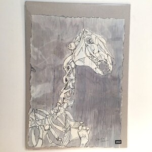 Horse skeleton (10x7 inch original drawing)