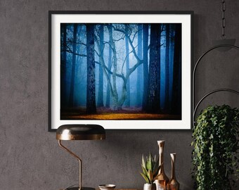 Enchanted Forest Wall Art with Goth Aesthetic, Foggy Magical Landscape Print, Fairycore, Blue Fairytale Tree Photography, Nature Print Gift
