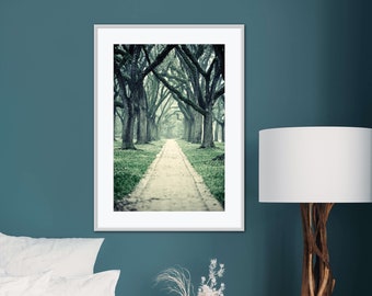 Live Oak Trees Wall Art for Home or Office, Green Nature Decor, Beautiful Wooded Path Photography, Houston Home Decor