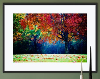 Colorful Landscape Photography, Autumn Nature Print, Fall Foliage Wall Art, Tree Photo, Gift for Tree Lover, Beautiful Tree Photography