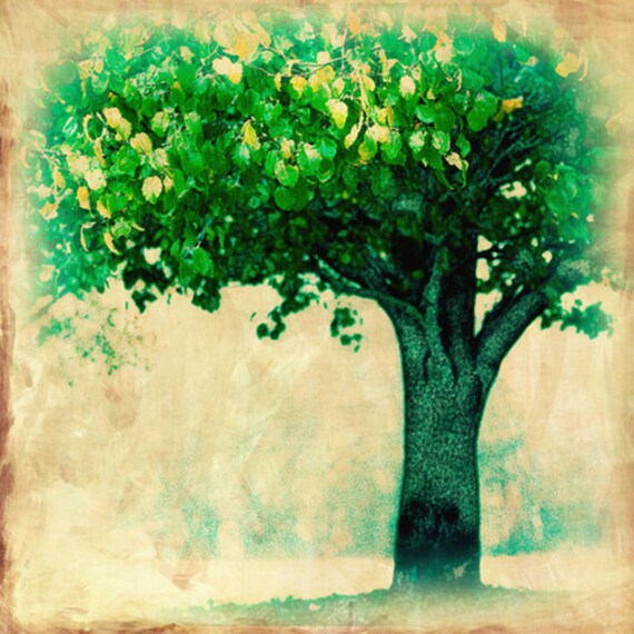 Items similar to green umbrella decorative nature photography print