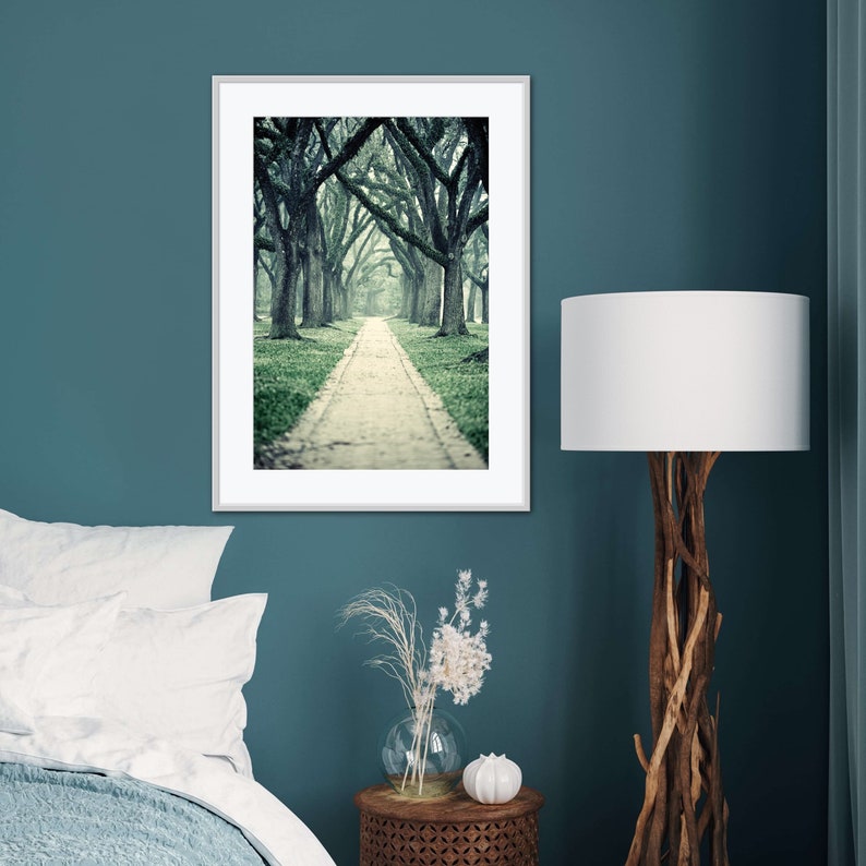Live Oak Trees Wall Art for Home or Office, Green Nature Decor, Beautiful Wooded Path Photography, Houston Home Decor image 1