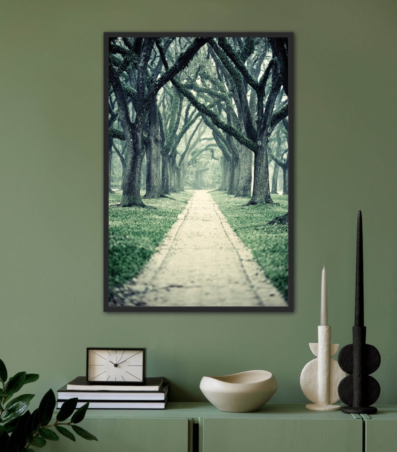 Live Oak Trees Wall Art for Home or Office, Green Nature Decor, Beautiful Wooded Path Photography, Houston Home Decor image 8