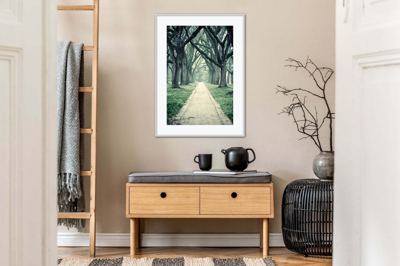 Live Oak Trees Wall Art for Home or Office, Green Nature Decor, Beautiful Wooded Path Photography, Houston Home Decor image 3