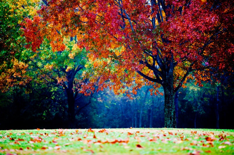 colorful landscape photography autumn