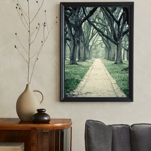 Live Oak Trees Wall Art for Home or Office, Green Nature Decor, Beautiful Wooded Path Photography, Houston Home Decor image 4