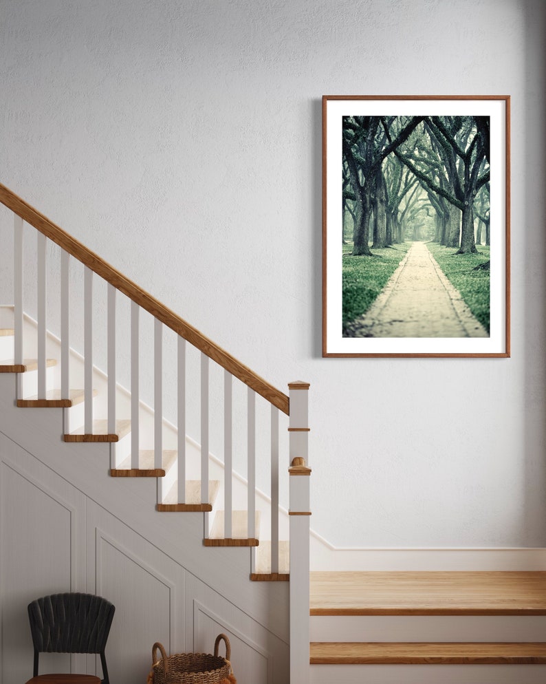 Live Oak Trees Wall Art for Home or Office, Green Nature Decor, Beautiful Wooded Path Photography, Houston Home Decor image 10