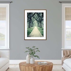 Live Oak Trees Wall Art for Home or Office, Green Nature Decor, Beautiful Wooded Path Photography, Houston Home Decor image 9