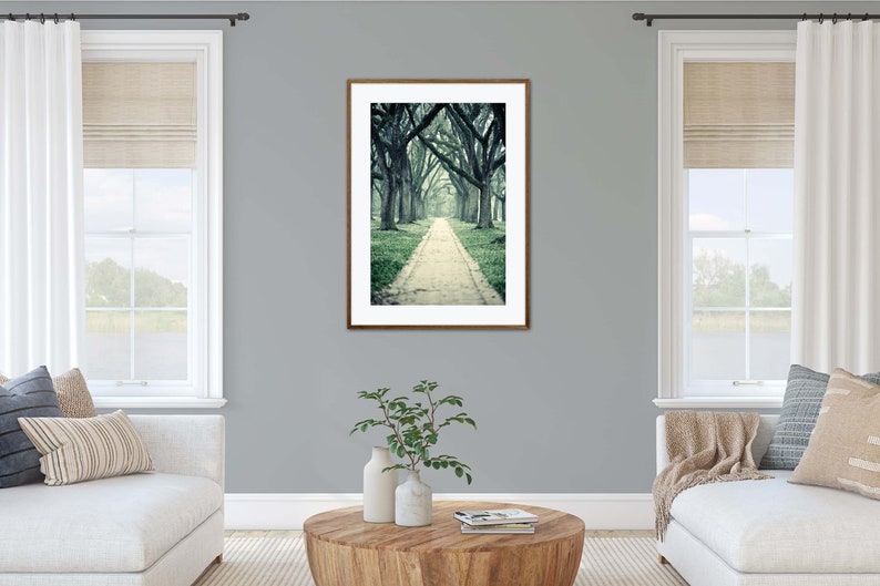 Live Oak Trees Wall Art for Home or Office, Green Nature Decor, Beautiful Wooded Path Photography, Houston Home Decor image 9