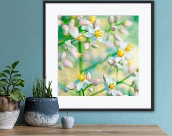 Floral Wall Art, Cheerful Botanical Photography, Springtime Floral Home Decor, Blooming Flowers, Pretty Fowers Print, Gift for Nature Lovers