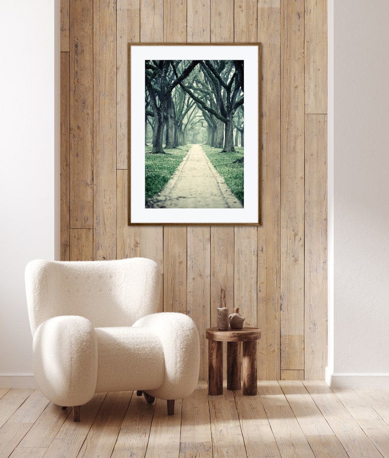 Live Oak Trees Wall Art for Home or Office, Green Nature Decor, Beautiful Wooded Path Photography, Houston Home Decor image 6