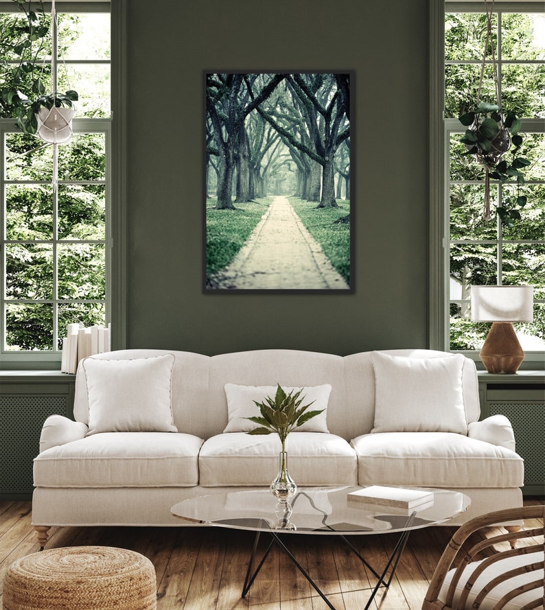 Live Oak Trees Wall Art for Home or Office, Green Nature Decor, Beautiful Wooded Path Photography, Houston Home Decor image 5