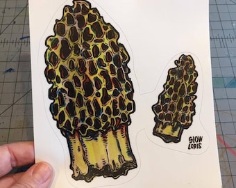 Morel Mushrooms decal