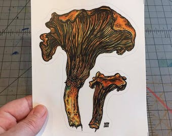 Chanterelle Mushrooms decal