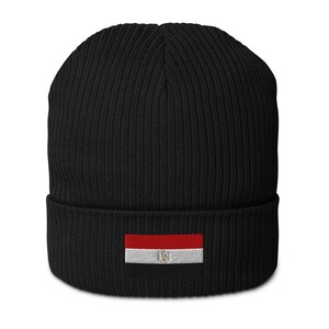 Egypt Flag Ribbed Beanie