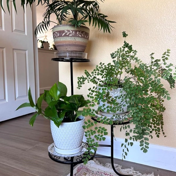 Black 3-Tier Metal Plant Stand Ideal for Indoor Outdoor Perfect for Displaying Potted Plants in Living Rooms Balconies Gardens & Patios 26"