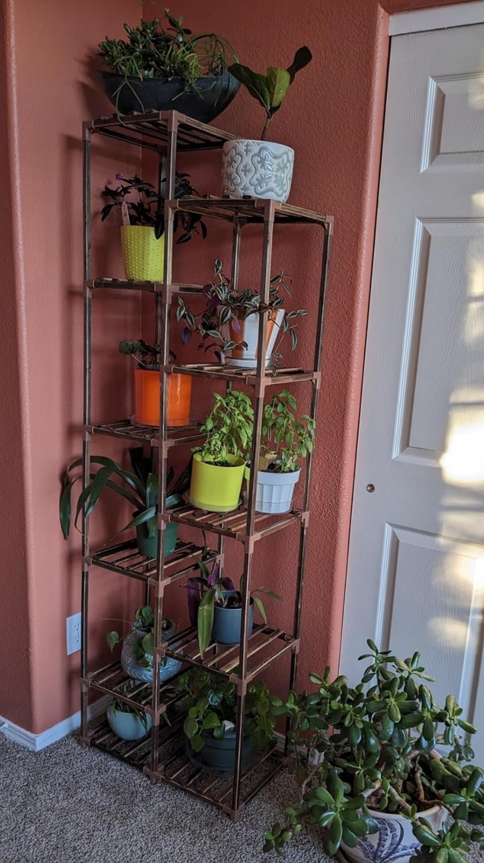 Brown 67.9'' Wooden Flower Rack 11 Tiers for Multiple Plant Shelves ...