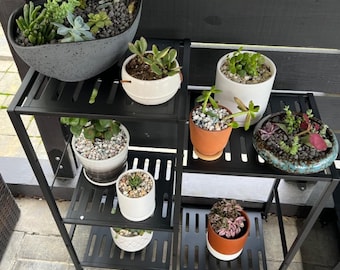 Blumenständer aus Metall 3-stufiges Regal für bis zu 5 Topfpflanzen Ideal für die Begrünung von Wohnzimmern Terrasse Gärten Balkone Schwarz 80 cm