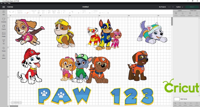 May include: A digital design featuring the Paw Patrol characters, including Chase, Skye, Marshall, Rocky, Rubble, Zuma, Everest, and Tracker. The characters are in their signature colors and poses. The text "PAW 123" is also included in the design.