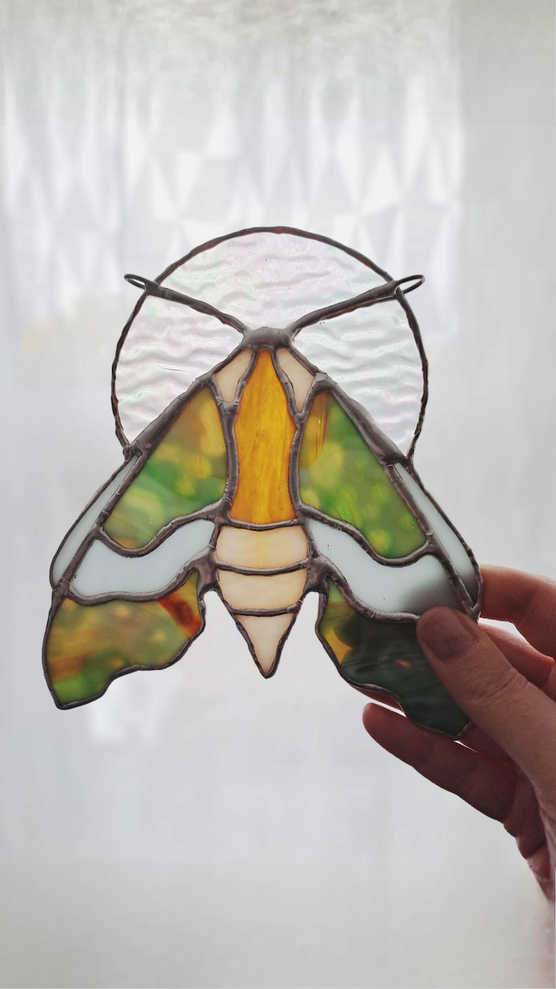 Lime Hawk Moth Stained Glass Pattern (PDF/PNG Digital Download Size A4 ...