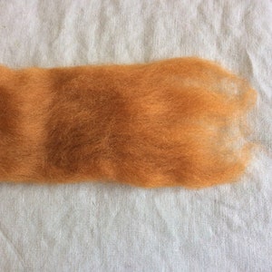 May include: A close-up of a strand of orange wool fiber. The wool is soft and fluffy, and it is perfect for felting or spinning.