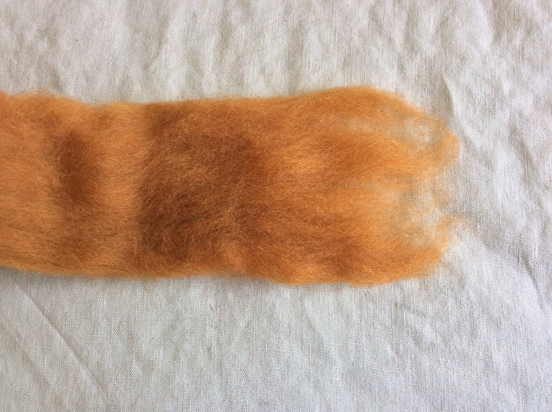May include: A close-up of a strand of orange wool fiber. The wool is soft and fluffy, and it is perfect for felting or spinning.