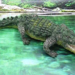 Coby the Crocodile needle felting kit - Large model with detailed photo tutorial