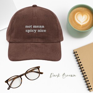 May include: A dark brown corduroy baseball cap with white embroidery that reads "not mean spicy nice".