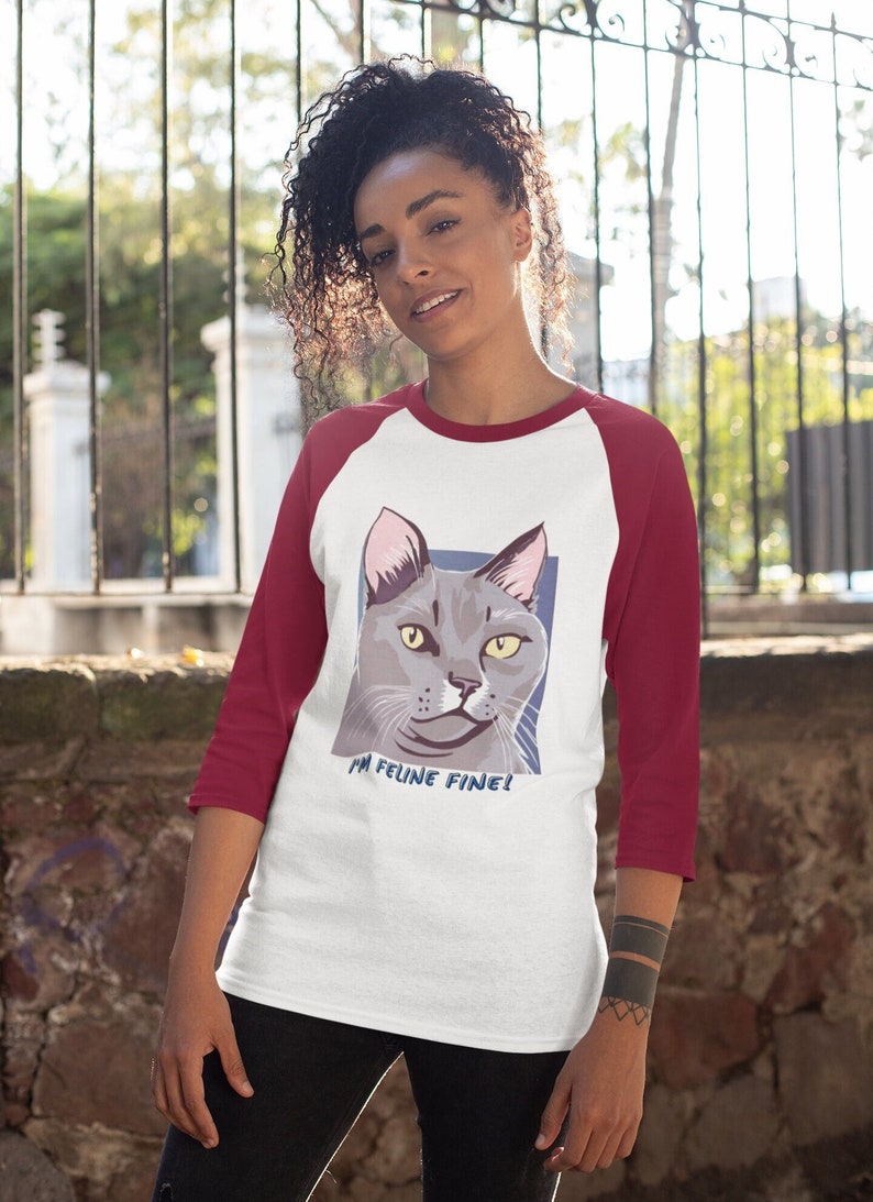 Cat lovers tshirt, funny cat shirt, I'm feline fine shirt, gray cat shirt, 3/4 sleeve, Raglan T-shirt, Cat lover gift, gift for her, Cat mom