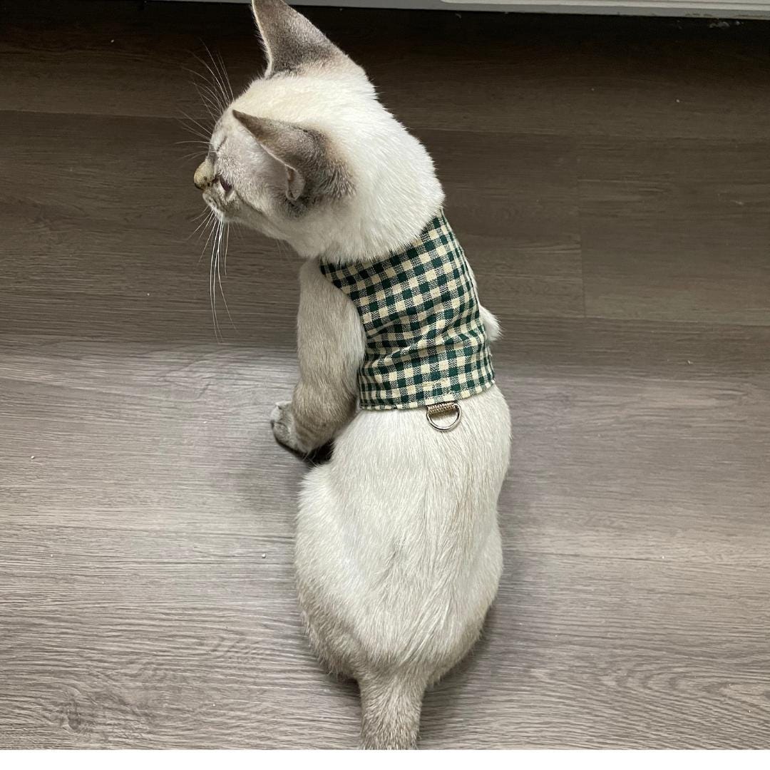 Curated visual reference: Picture Idea: Custom Cat Harness Neck 10 Torso 14 Extended Length Strawberry