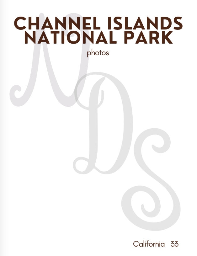 Printable National Park Passport Book - Etsy