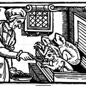 File di taglio SVG per incisione su legno di una strega gotica - Strega che nutre i suoi familiari
