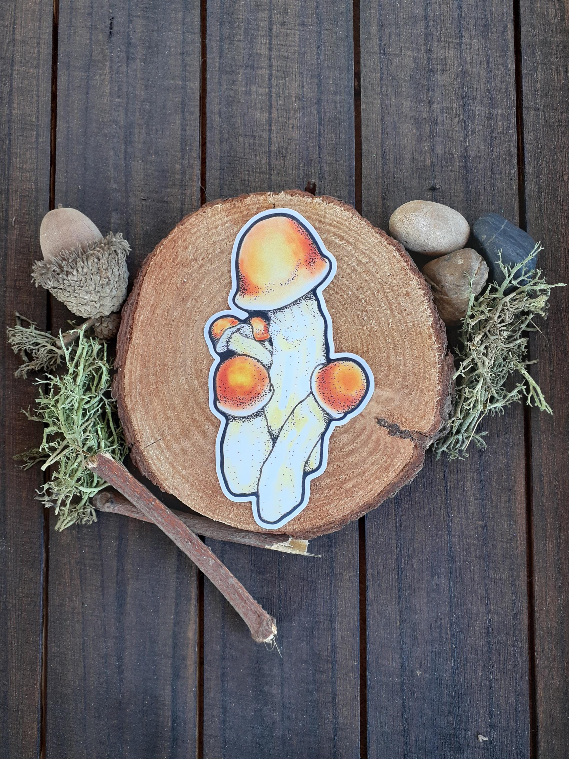 【希少美品】CRASS PENIS ENVY LP + ポスター il_fullxfull.6187294201_b9zc.jpg